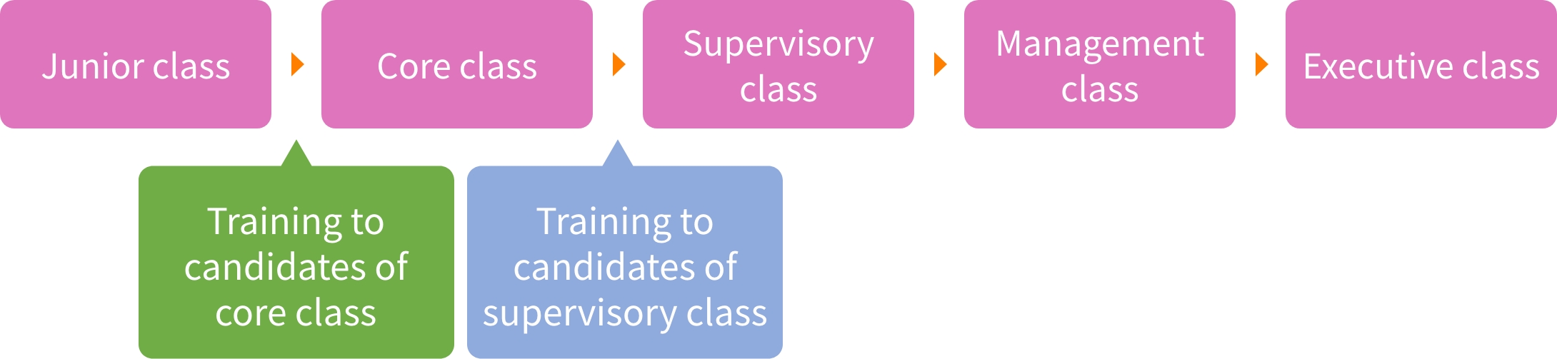 Training by job grade